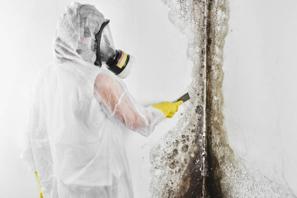 Best Certified Mold Removal  in Mars, PA