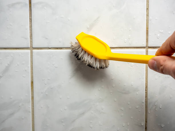 Best Home Mold Removal  in Mars, PA