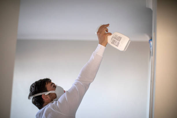 Professional Mold Removal in Mars, PA