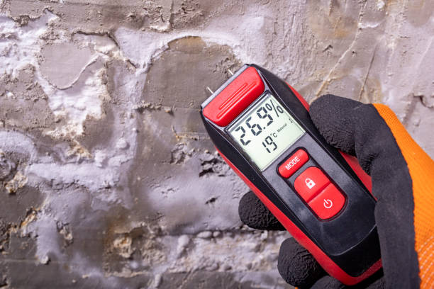 Best Office Mold Removal Services  in Mars, PA