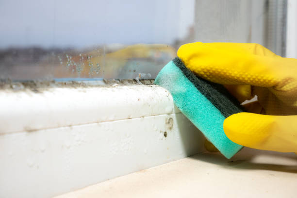 Mold Removal and Inspection in Mars, PA
