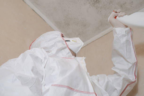 Home Mold Removal in Mars, PA