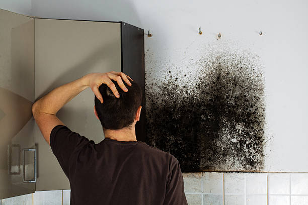Best Mold Cleaning Services  in Mars, PA