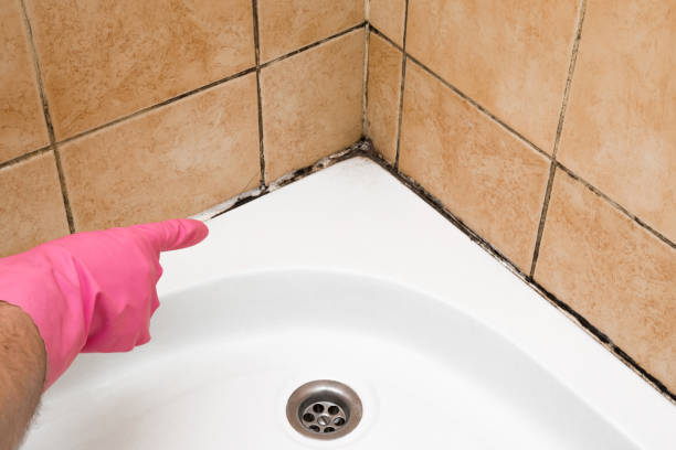 Best Mold Testing  in Mars, PA
